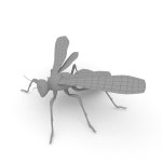 Wasp 3D 모델 $40 - .blend .c4d .dae .fbx .max .obj - Free3D