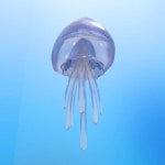 Jelly Shad Lure 3D 모델 $19 - .3ds .dae .dxf .fbx .max .obj - Free3D