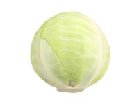 Cabbage 3D 모델 다운로드 - Free3D