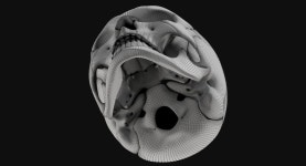 Male Skull 3D 모델 $119 - .max .fbx .gltf .obj .ma .upk .unitypackage .c4d - Free3D