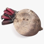 Potato 01 3D 모델 $15 - .max .obj .fbx - Free3D