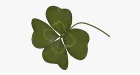 Clover 3D 모델 $29 - .fbx .max .obj - Free3D