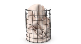 Mesh Basket 3D 모델 $59 - .unknown .max - Free3D