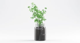 Parsley 3D 모델 $9 - .obj .max .fbx .dwg .c4d .3ds - Free3D