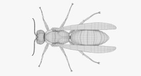 Wasp 3D 모델 $29 - .blend .obj .dae .fbx - Free3D
