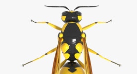 Wasp 3D 모델 $29 - .blend .obj .dae .fbx - Free3D