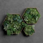 Moss 3D 모델 다운로드 - Free3D