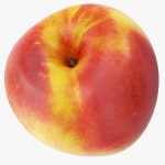 Nectarine 3D 모델 다운로드 - Free3D