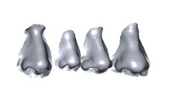 Nose 3D 모델 다운로드 - Free3D