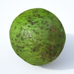 Avocado 3D 모델 $30 - .lwo .fbx .obj - Free3D