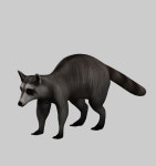 Paws 3D 모델 다운로드 - Free3D