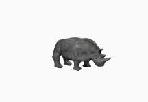 Rhinoceros 3D 모델 $20 - .blend - Free3D