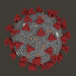 Coronavirus 3D 모델 $8 - .ma .fbx .obj .stl - Free3D