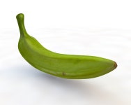 Plantain Green 3D 모델 $5 - .3ds .c4d .dae .fbx .obj .stl - Free3D