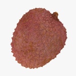 리치 픽쳐스(Lychee Pictures) | Lychee 3D 모델 $24 - .max .fbx .obj .3ds - Free3D