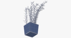 Rosmary Herb 3D 모델 $39 - .max .obj .c4d .gltf .ma .upk .unitypackage .fbx .usd - Free3D