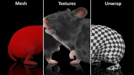 Syrian Teddy Bear Hamster Black 3D 모델 $129 - .max - Free3D