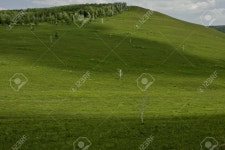 목장 로열티 무료 사진, 그림, 이미지 그리고 스톡포토그래피. Image 10780042 목장