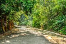 Forest Roads Stock Photo, Picture And Royalty Free Image. Image 47180015. Forest roads