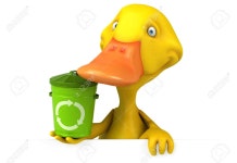 오리 로열티 무료 사진, 그림, 이미지 그리고 스톡포토그래피. Image 63429621 오리