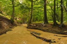 Creek Stock Photo, Picture And Royalty Free Image. Image 35276997. Creek