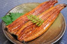 구이 장어 로열티 무료 사진, 그림, 이미지 그리고 스톡포토그래피. Image 60677544 구이 장어