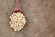 Soy Beans Stock Photo, Picture And Royalty Free Image. Image 31233300. Soy beans 
