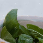 바 로열티 무료 사진, 그림, 이미지 그리고 스톡포토그래피. Image 14573367. 바