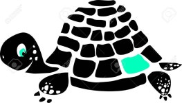 검은 거북 로열티 무료 사진, 그림, 이미지 그리고 스톡포토그래피. Image 5471883 검은 거북