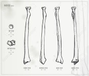 Radius Royalty Free SVG, Cliparts, Vectors, and Stock Illustration. Image 50147450. Radius