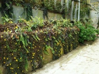 농장 로열티 무료 사진, 그림, 이미지 그리고 스톡포토그래피. Image 24304386. 농장