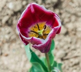 공원 로열티 무료 사진, 그림, 이미지 그리고 스톡포토그래피. Image 38922653. 공원