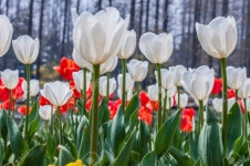 공원 로열티 무료 사진, 그림, 이미지 그리고 스톡포토그래피. Image 38922750. 공원