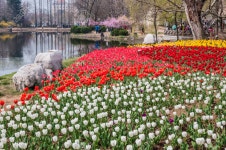 공원 로열티 무료 사진, 그림, 이미지 그리고 스톡포토그래피. Image 38923074. 공원