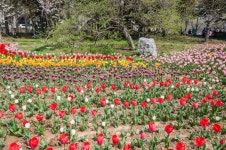 공원 로열티 무료 사진, 그림, 이미지 그리고 스톡포토그래피. Image 38923105. 공원