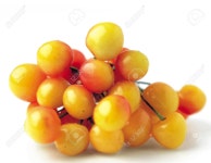 Food Stock Photo, Picture And Royalty Free Image. Image 86166325. Food