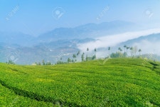 다산 로열티 무료 사진, 그림, 이미지 그리고 스톡포토그래피. Image 61189080 다산