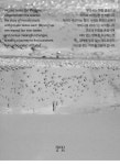[무아시]SEOL 설 + 쇼핑백 M [W CONCEPT]