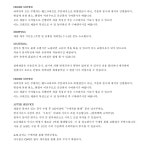 [라피씬]사파이어 체인 귀걸이/피어싱 (한짝) [W CONCEPT]