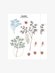[레이지스튜디오]다미 N6 [W CONCEPT]
