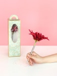 [VIA K STUDIO비아케이스튜디오]다알리아 플라워펜 [W CONCEPT]