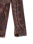 Etro Wool Printed Scarf - Brown Scarves and Shawls, Accessories - ETR250036 | The RealReal