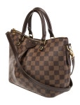 Louis Vuitton Trevi - Brown Handle Bags, Handbags - LOU839028 | The RealReal Trevi