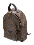 Louis Vuitton Monogram Palm Springs Mini - Brown Backpacks, Handbags - LOU873011 | The RealReal Monogram Palm Springs Mini