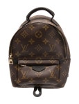 Louis Vuitton LV Monogram Palm Springs Mini - Brown Backpacks, Handbags - LOU993001 | The RealReal LV Monogram Palm Springs Mini
