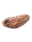 Miu Miu Leather Hobo - Brown Hobos, Handbags - MIU250025 | The RealReal