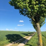 Svea Wenzel - Heilpraktikerin für Psychotherapie - Glückswinkel | XING Svea Wenzel - Heilpraktikerin für Psychotherapie... 