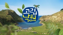 고립낙원 | 디지털 KBS 고립낙원