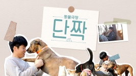 동물극장 단짝 | 디지털 KBS 동물극장 단짝