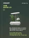 장식소품 > 반려식물 케어 솔루션_키우다 | 오늘의집 쇼핑 반려식물 케어 솔루션_키우다